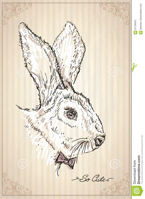 兔子象徵 人生十年